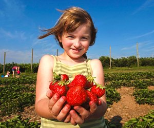 Photo courtesy of Lyman Orchards