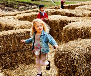 Things to Do in DC this Weekend: Harvest, Festivals October 19-20, 2019 Fall Harvest Family Days. Photo courtesy of Mount Vernon