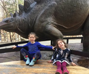 Our family's favorite dinosaur (at the Fernbank and in general) is the Stegosaurus, pictured here in bronze form outside the museum. 
