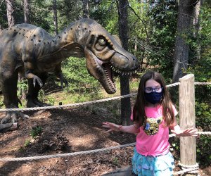 Stone Mountain Park's Dinosaur Explore attraction is a fun way to spend an afternoon. Photo by Melanie Preis