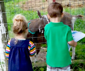 two kids at baby animals on farm Muscoot Farms Westchester affordable  summer camps