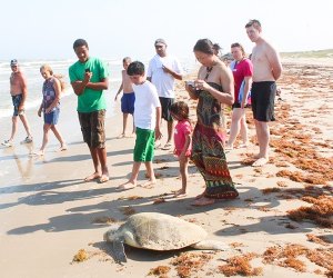 Texas beaches: Mustang Island State Park