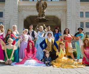 My Fairytale Party