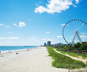 Explore the sandy beaches of South Carolina on a budget-friendly spring break vacation