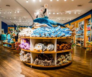 Photo of stuffed-animal toy display at the Mystic Aquarium gift shop.