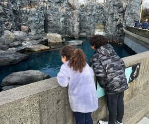 Image of kids at Mystic Aquarium - Winter Day Trips in Connecticut