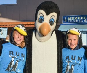 Run your tail feathers off...for the Penguins! Photo courtesy of Mystic Aquarium