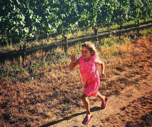 Kid-Friendly Wineries in Napa, Sonoma, and the San Francisco Bay Area: Belden Barns Farmstead & Winery 