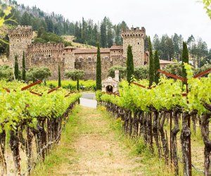 Kid-Friendly Wineries in Napa, Sonoma, and the San Francisco Bay Area: : Castello di Amorosa
