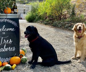 Kid-Friendly Wineries in Napa, Sonoma, and the San Francisco Bay Area: Tres Sabores