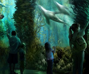 national geographic Ocean encounter Kid-Friendly NYC Businesses Closed in 2020