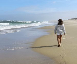 Picture of a person walking along the shore of a Cape Cod beach.