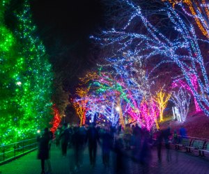 See the National in a whole new light at ZooLights. Photo by Skip Brown, courtesy of the Zoo