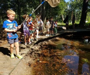 Dive into nature with your kiddos during Naturalist Explorers./Photo courtesy of Houston Arboretum & Nature Center.