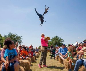 Bridgeland's Nature Fest is an event that you don't want to miss this Saturday!/Photo courtesy of Bridgeland.