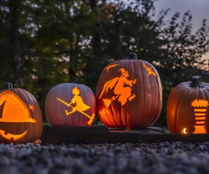 Halloween and New England go together like pumpkin festivals and jack-o'-lantern displays! Incredible Naumkeag Pumpkin Show photo courtesy of the Trustees