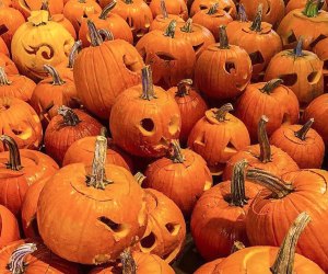 Carve out some time for family fun at the Incredible Naumkeag Pumpkin Show. Photo courtesy of The Trustees