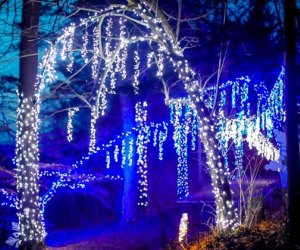 Stroll through the Winterlights in Canton, North Andover, and Stockbridge. Photo courtesy of Winterlights, Facebook