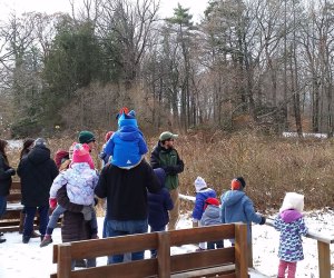 New Canaan Nature Center's Thanksgiving Weekend Waddle