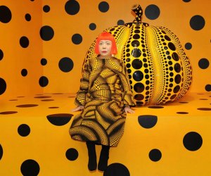 See Kusama: Cosmic Nature, the delayed exhibition set to open in Spring 2021 at NYBG