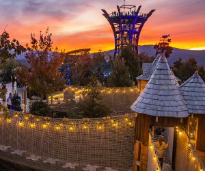 Come play at Anakeesta, the mountaintop adventure park in the heart of Gatlinburg. Photo courtesy of Anakeesta