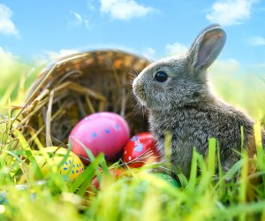 Easter is early this year, and so are the egg hunts and bunny photos.