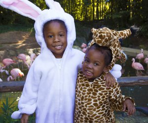 Find spooky Halloween fun around Atlanta with our guide