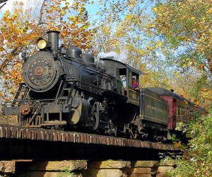 train on tracks in the fall