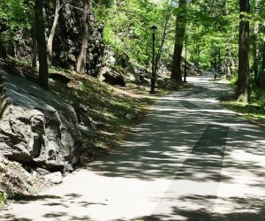 New York City parks provided solace in 2020