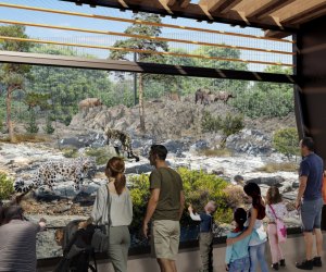 renderings of the Brookfield Zoo master plan