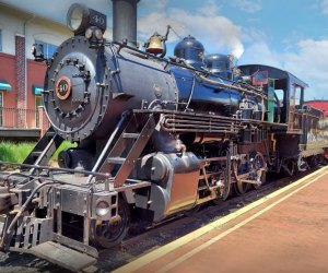 Fall Train Rides Near DC: New Hope Railroad Fall Excursion