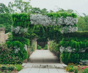 Fun Things To Do in New Orleans with Kids: New Orleans Botanical Garden