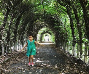 Breeze through the allee at the Snug Harbor Botanical Gardens. This beautiful tunnel of Hornbeam trees is just one of its stunning feature. Photo courtesy of Snug Harbor