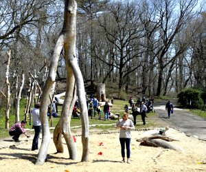 10 Nature-Themed Playgrounds in NYC for a Fun Fall Romp The Zucker Natural Play Area debuted its unique playground in 2013. Photo courtesy of the Prospect Park Alliance