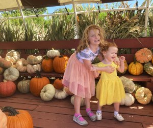 Enjoy apple and pumpkin picking all month long at Johnson's Corner Farm in Medford. Photo by Lisa Warden