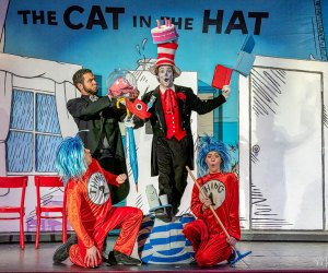 A boring afternoon turns into an amazing adventure when the Cat in the Hat comes calling at MAYO. Photo courtesy of MAYO