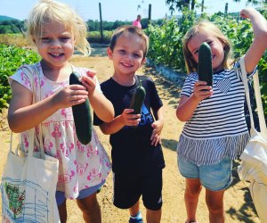 Throw a Birthday Party at a New Jersey Farm - Mommy Poppins