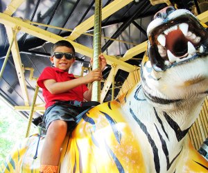 Admission to the Cape May County Park & Zoo is completely free. Photo courtesy of the zoo 