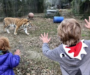 Admission to the Cohanzick Zoo in Bridgeton is completely free. Photo by Lisa Warden 