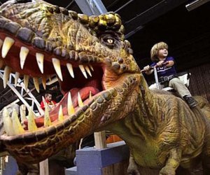 Ride on a T. Rex at Jurassic Quest this month. Photo courtesy of Jurassic Quest