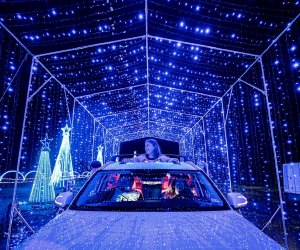 hår mudder helt seriøst Christmas Lights to Check Out in New Jersey - Mommy Poppins