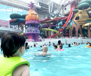 Indoor Water Parks near NYC DreamWorks Water Park