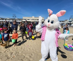 More than 3,500 eggs are hidden in the sand in Belmar. Photo courtesy of Belmar