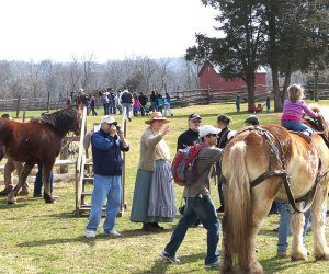Saddle up at Howell Living History Farm for a historical program about workhorses. Photo courtesy of the farm