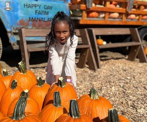 Celebrate the coming of fall at the Happy Day Farm Fall Festival. Photo courtesy of the farm