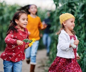 100 things to do in New Jersey with kids: Johnson's Corner Farm Corn Maze