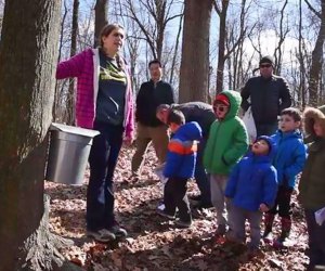 Go Maple Sugaring at Tenafly Nature Center. Photo courtesy of the nature center 