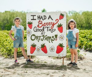 Have a sweet time at Ort Farms' Strawberry Festival this month. Photo courtesy of the farm