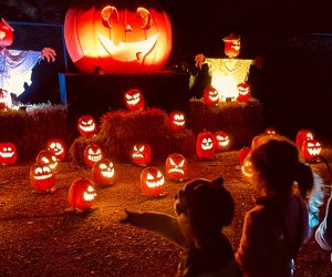Skylands Stadium’s third-annual Jack-O’-Lantern Experience is a great Halloween event for all ages. Photo courtesy of Skylands