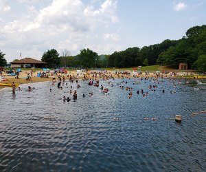 An area of Hooks Creek Lake is sectioned off for swimming. Photo courtesy of New Jersey Department of Environmental Protection